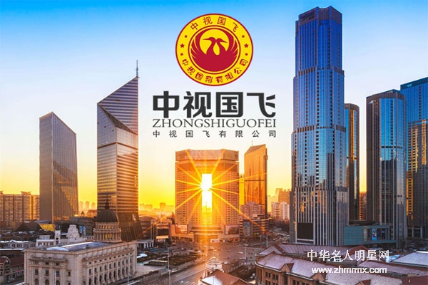 中视国飞有限公司