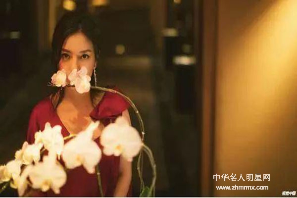 范冰冰、赵薇有问题还是还珠格格惹的祸！