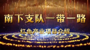南下支队“一带一路”项目介绍第三十一季：南下支队精神与“一带一路”倡议：青少年国防教育中的核心价值观培育
