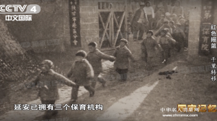 炮火中辗转三千里无一人伤亡，这场“娃娃长征”旷古未有