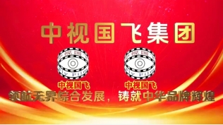中视国飞集团：领航无界综合发展，铸就中华品牌辉煌