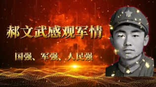 郝文武《观感军情》第三十三季：抗美援朝中的友军